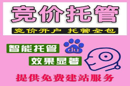 谷歌竞价广告如何提高广告点击率——某公司案例